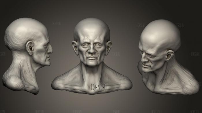 Old Dude Head stl model for CNC